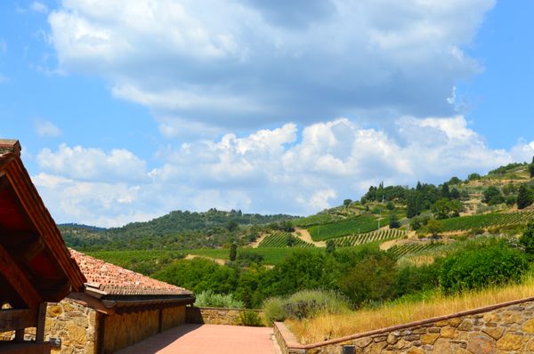 Querciabella · Società Agricola Querciabella SpA by null