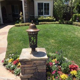Front yard