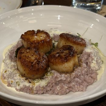 Nolia - Scallops with risotto - Southern Near Me - Cincinnati, Ohio