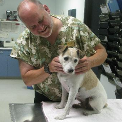 Emergency Veterinary Clinic Of Tualatin