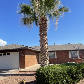 Robinson Services - Palm tree maintenance after - Lawn Services Near Me Robinson Services - Palm tree maintenance after - Lawn Services Near Me