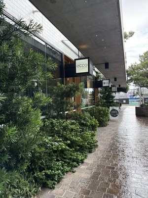 e'cco bistro by null