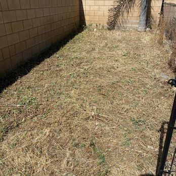 Tony's Landscape - Before - Landscaping Near Me - Rialto, California