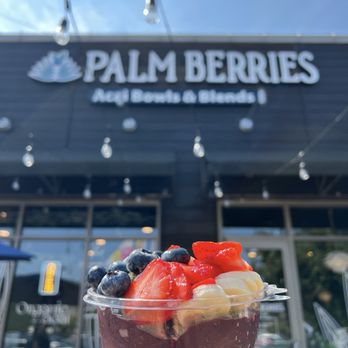 Palm Berries - Create your own bowl - Acai Bowls Near Me - Arlington, Virginia