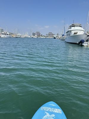 Marina Del Rey Marina by null