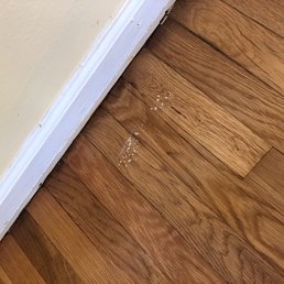 A door left open adhered to the poly coat, causing damage when moved. A door left open adhered to the poly coat, causing damage when moved.