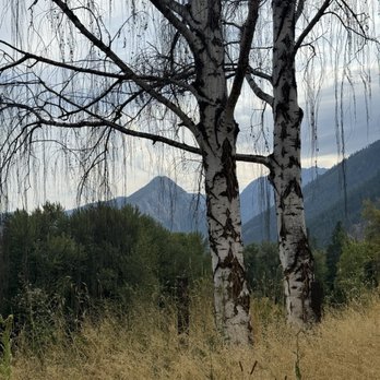 Yodelin - View of mountains from outside patio.  River runs down in valley just on other sides of the trees.  Visible from farther out on patio. - Seafood Near Me - Leavenworth, Washington