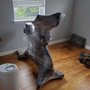Photo of Made Movers
