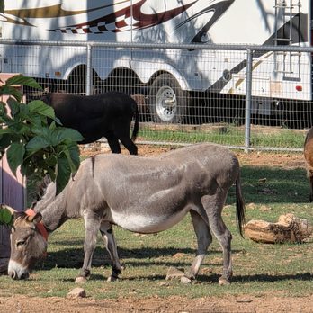 Carl's Damaged Pet Warehouse - Petting Zoos Near Me - Gilbert, Arizona
