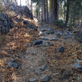 Bear Lakes & Long Lake Loop Trail - Trail to Bear Lakes 11/10/19 - Hiking Near Me - Graeagle, California Bear Lakes & Long Lake Loop Trail - Trail to Bear Lakes 11/10/19 - Hiking Near Me - Graeagle, California