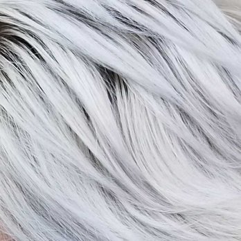 White Grey Blending With A Shadow Root Bleach Root Smudge Toner