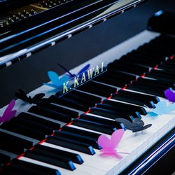 Maus Piano & Organ