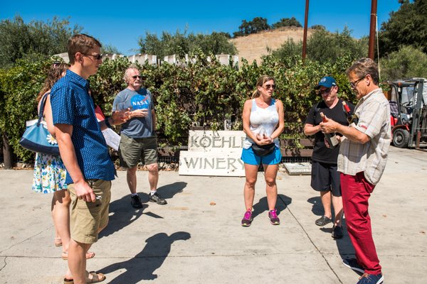 Rooted Vine Wine Tours by null