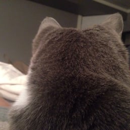 He turns his head at the thought! He turns his head at the thought!