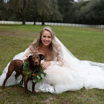 FairyTail Pet Care - Pet Sitting Near Me - Tampa, Florida FairyTail Pet Care - Pet Sitting Near Me - Tampa, Florida