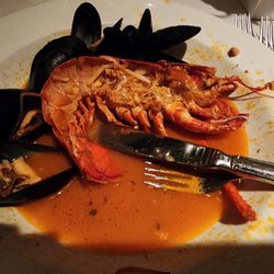 Bistro 44 - Cioppino gave me severe food poisoning!