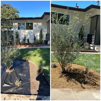Lozada Tree Service - Landscaping - Tree Services Near Me Lozada Tree Service - Landscaping - Tree Services Near Me