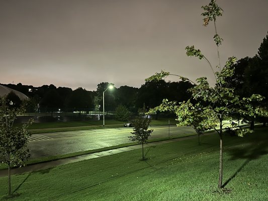 Patterson Park by null