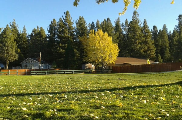 MEADOW PARK - Updated September 2024 - 20 Photos - 41220 Park Ave, Big