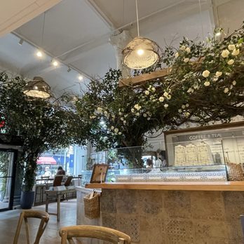 コーヒー Maman An NYC-based French cafe is coming to Courthouse | ARLnow.com