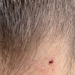 Southern Gentleman's Barbering Company - The barber cut my son's neck during the haircut.