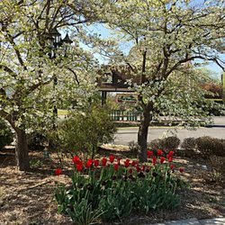 Wickmans Garden Village - Spring at Wickman Gardens.