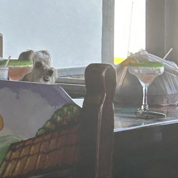 Clase Azul Bar & Grill - Dog - Tex-Mex Near Me - Dunedin, Florida