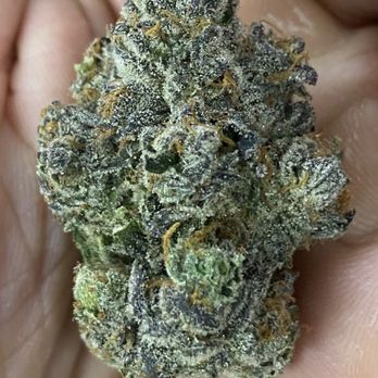 Speedy Jane's - Cannabis Dispensaries Near Me - Hillsboro, Oregon Speedy Jane's - Cannabis Dispensaries Near Me - Hillsboro, Oregon