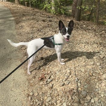 Lake Lynn Trail - Happy trails and wagging tails - Parks Near Me - Raleigh, North Carolina Lake Lynn Trail - Happy trails and wagging tails - Parks Near Me - Raleigh, North Carolina