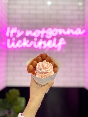 Cauldron Ice Cream by null