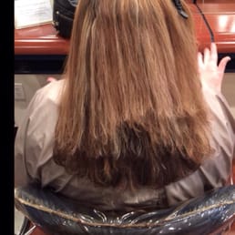 Cut from Roy. From the owner of the salon. Horrifying!! Cut from Roy. From the owner of the salon. Horrifying!!