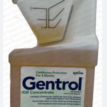 360 Pest Control - My go to when dealing with roach infestation and bed bugs. - Pest Control Near Me
