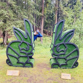Bow Falls - Art walk - Hiking Near Me - Banff, Alberta