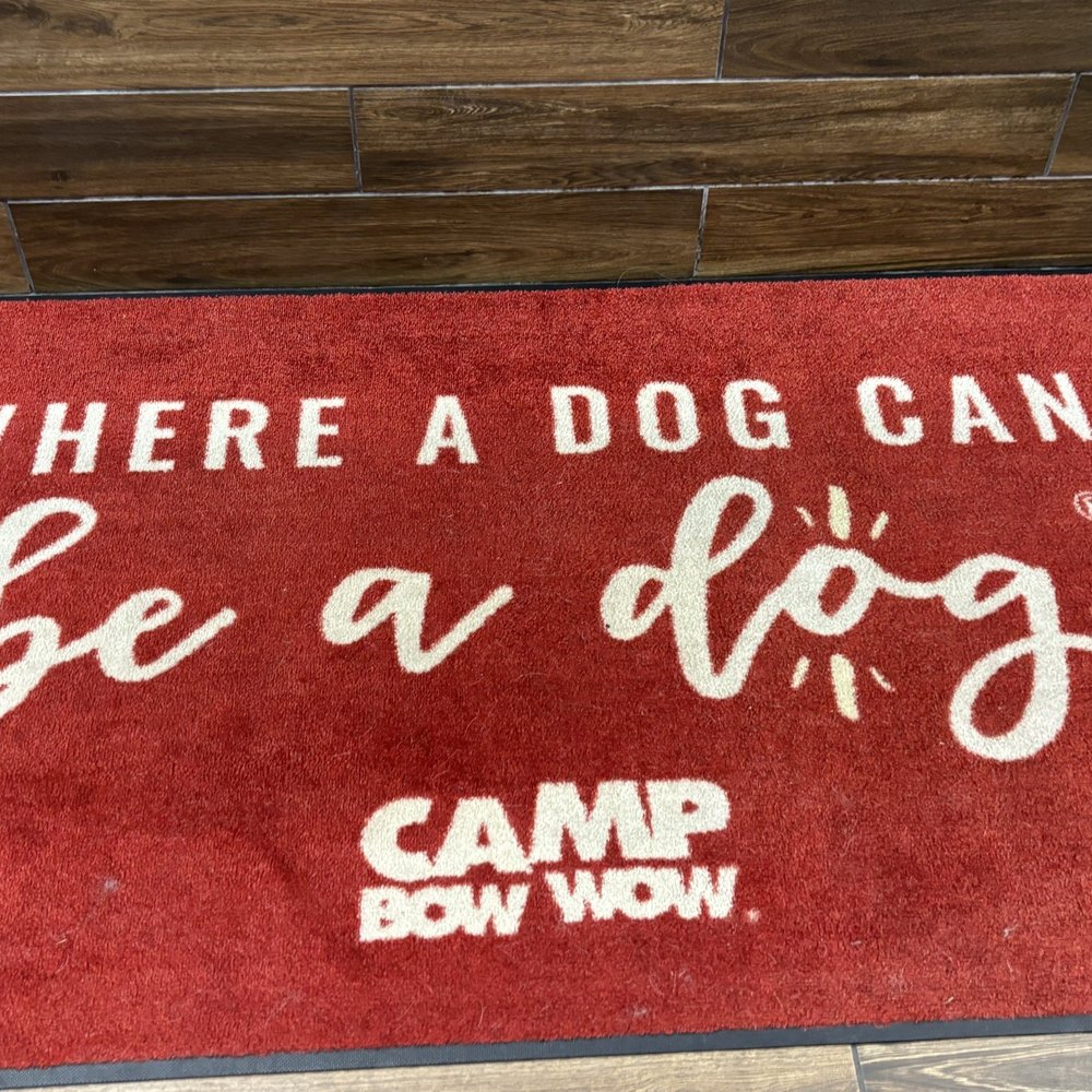 Camp Bow Wow - Humble - Pet Boarding Near Me - Humble, Texas