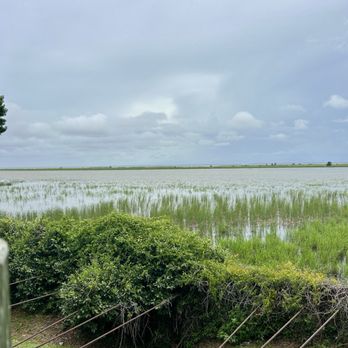 Boudreaux's Cajun Grill - The view - Cajun/Creole Near Me - Daphne, Alabama