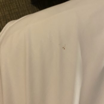 Great Wolf Lodge - Blood splats dried up blood - Water Parks Near Me - Gurnee, Illinois Great Wolf Lodge - Blood splats dried up blood - Water Parks Near Me - Gurnee, Illinois
