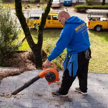 Squeaky Clean - Roof cleaning - Window Washing Near Me - Placerville, California