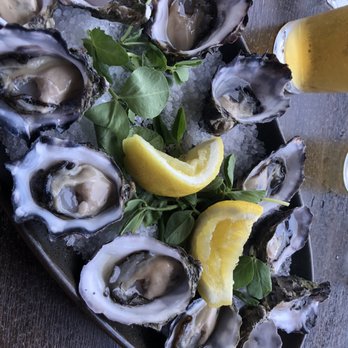 Fishheads - Fresh oysters.. - Seafood Near Me - Byron Bay, NSW Fishheads - Fresh oysters.. - Seafood Near Me - Byron Bay, NSW