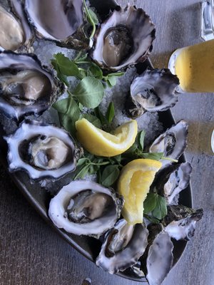 Fishheads Restaurant & Takeaway Byron Bay by null