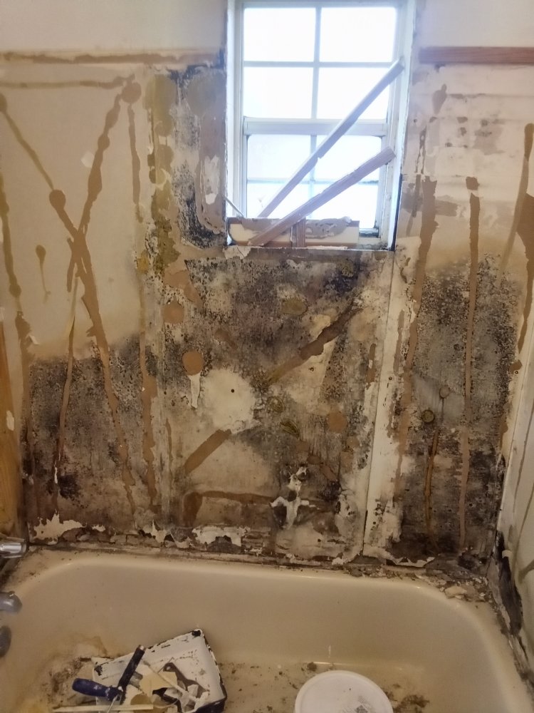 Slide of We Da Best Handyman & Roofing