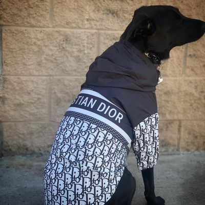 Fur-Kids Boutique by null