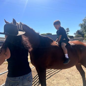 Tortoise Sanctuary Of Tracy - Riding horses - Attraction Farms Near Me - Tracy, California Tortoise Sanctuary Of Tracy - Riding horses - Attraction Farms Near Me - Tracy, California