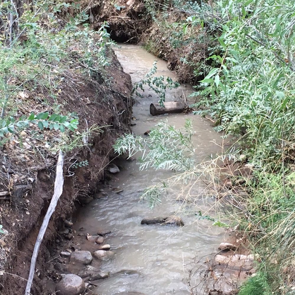 Pack Creek Campgrounds - Pack Creek runs through campground. - Campgrounds Near Me - Moab, Utah