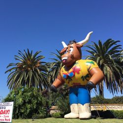 Dana Point State Bbq Championship - State BBQ championship!