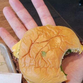 Shake Shack El Segundo - Shackburger - Burgers Near Me - El Segundo, California