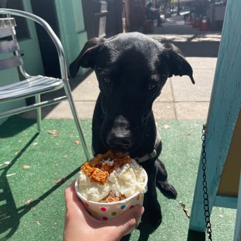 Salty Paws - Peanut Butter Ice Cream with cheesy bacon toppings - Pet Stores Near Me - Philadelphia, Pennsylvania