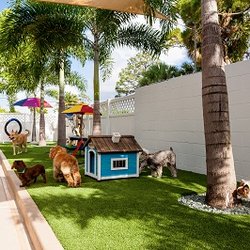 Coastal Synthetic Turf