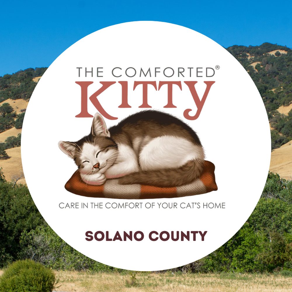 TOP 10 BEST Spay and Neuter Clinics near American Canyon, CA - Updated 2025  - Yelp