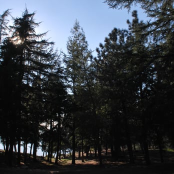 Henninger Flats Campground - Hiking Near Me - Altadena, California Henninger Flats Campground - Hiking Near Me - Altadena, California