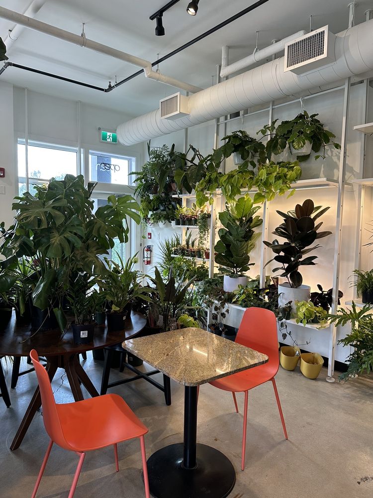 WONDERLANDS PLANTS & COFFEE Updated September 2024 10539767